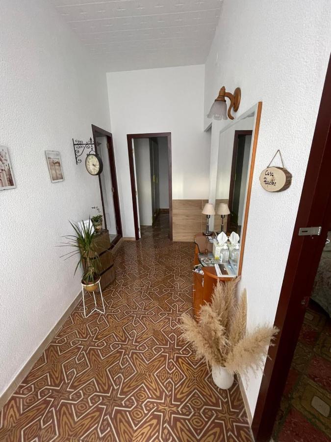 Villa Casa Paqueldo Amposta Exterior foto